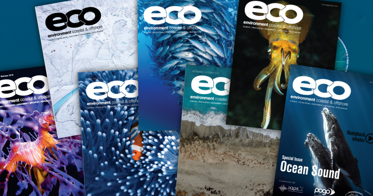 ECO Magazine Celebrates Successful 2019 and Reveals New 2020 ‘Global Reach’ Strategy